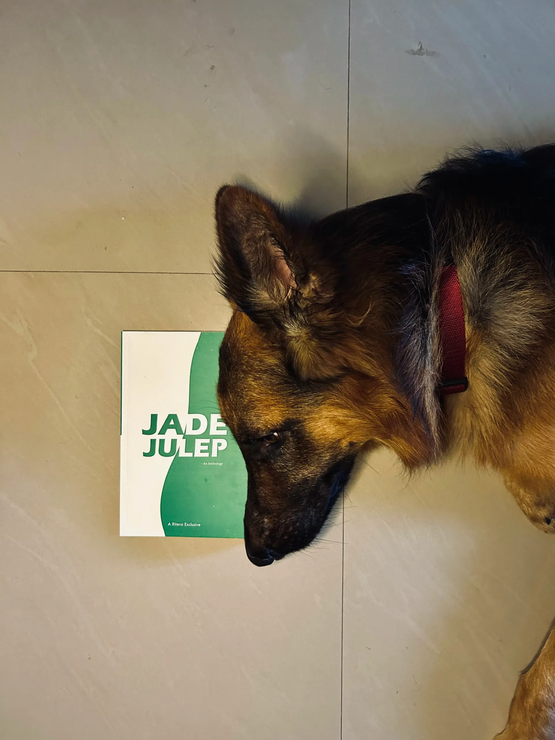 Published book cover